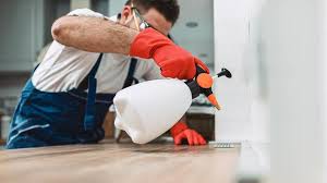 Emergency Pest Control Services in Johnson Creek, WI